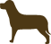 dog icon